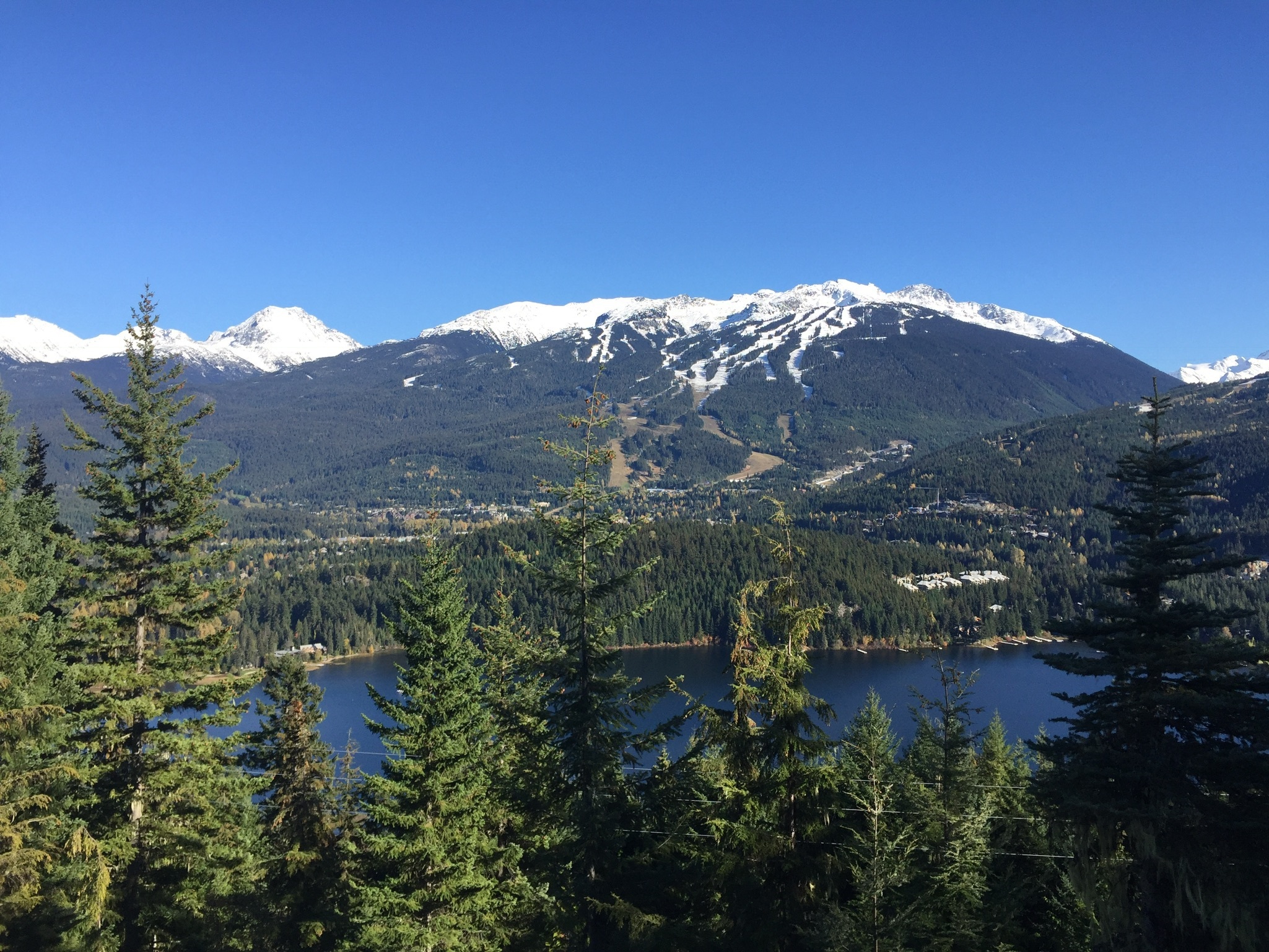 WHISTLER