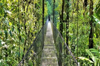 Moto tour : explorez le Costa Rica autrement