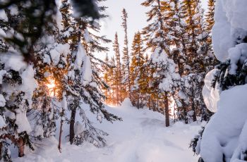 L'Hiver au Lac Blanc