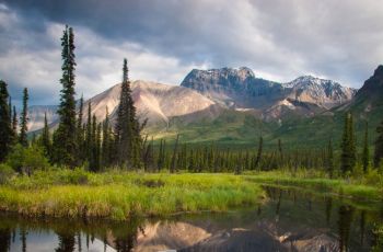 Des Cimes Canadiennes aux Fjords d’Alaska : Rocky Mountaineer et croisière