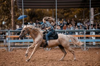 Le Meilleur du Texas